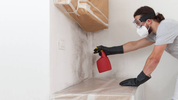 Professional Bathroom Mold Removal technician working in Wheaton, MD