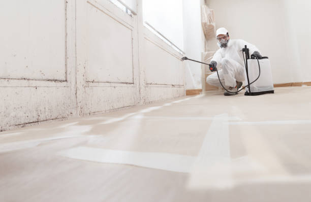 24/7 Emergency Bathroom Mold Removal experts in Wheaton, MD